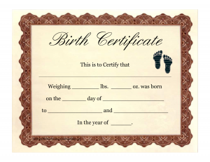 Birth Certificate Filings